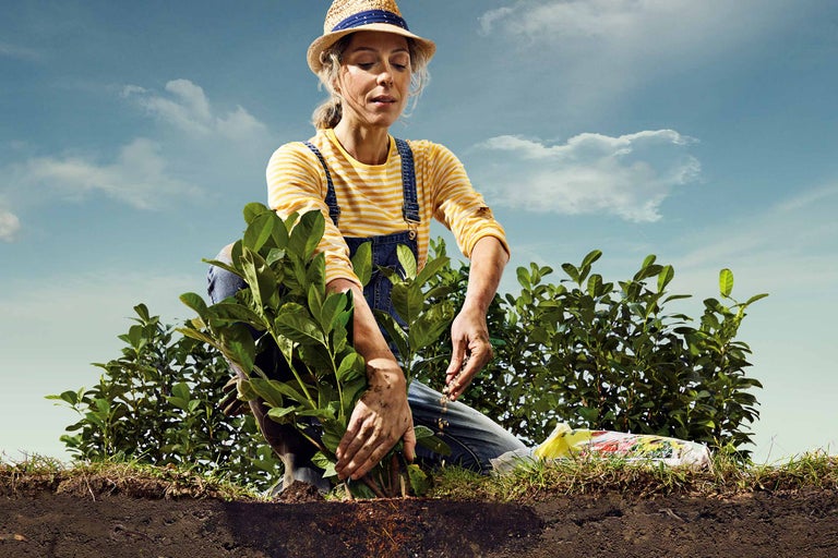 En kvinna planterar plantor i en trädgård med trädgårdsjord.