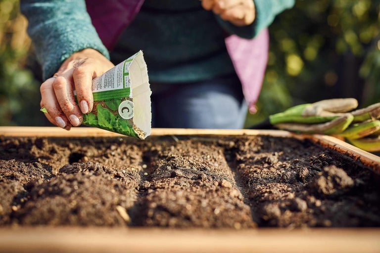 En person sår frön i en upphöjd trädgård.