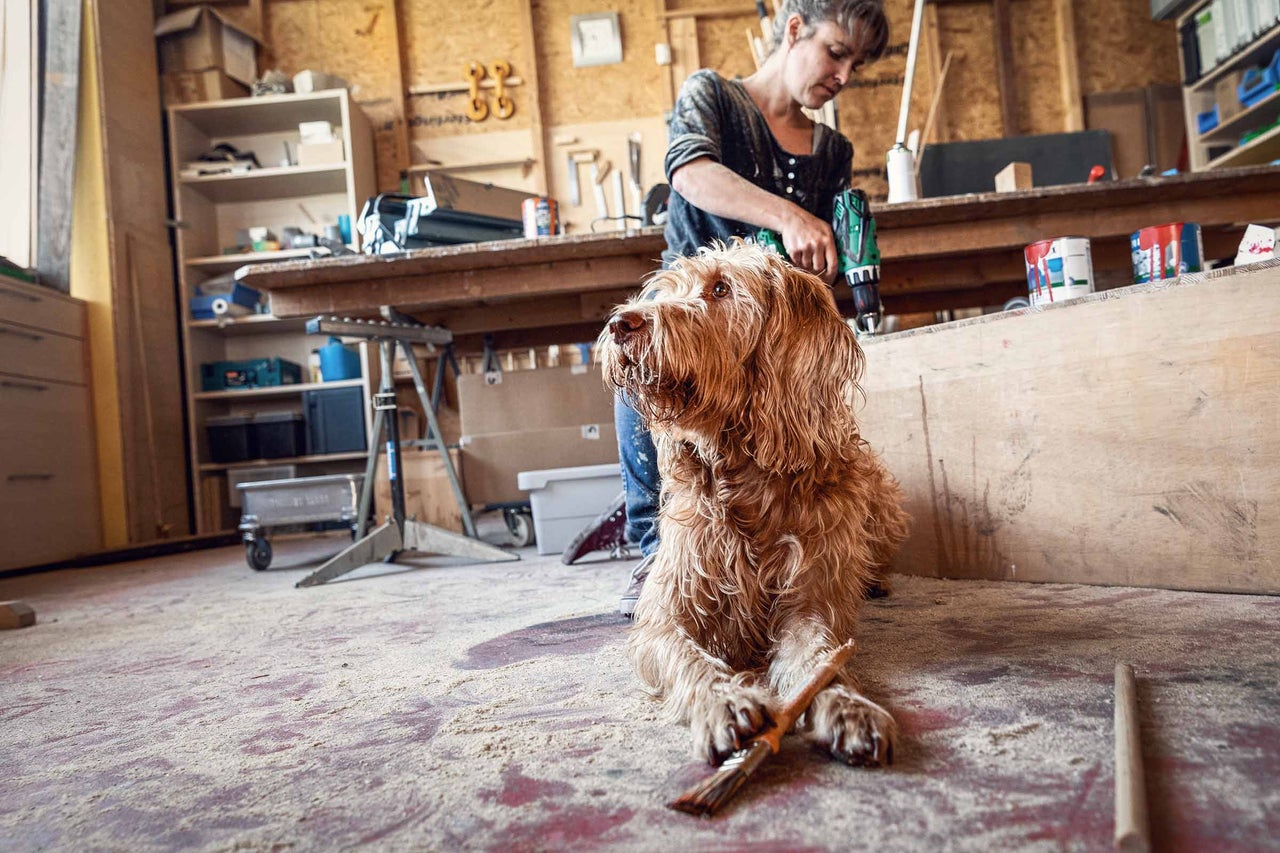 Hund ligger på verkstadsgolvet medan en kvinna arbetar med en borr i bakgrunden.
