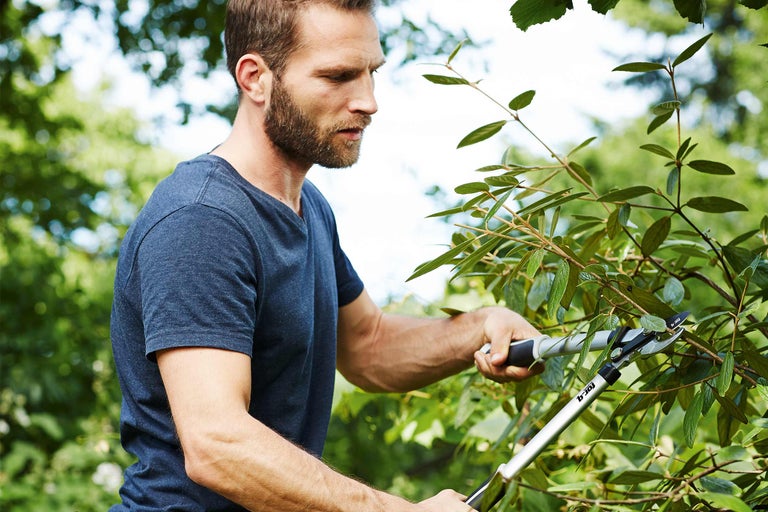 En man beskär en buske med en trädgårdssax.