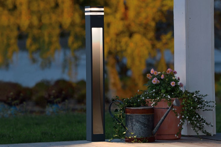 Trädgårdsscen med gångljus och dekoration