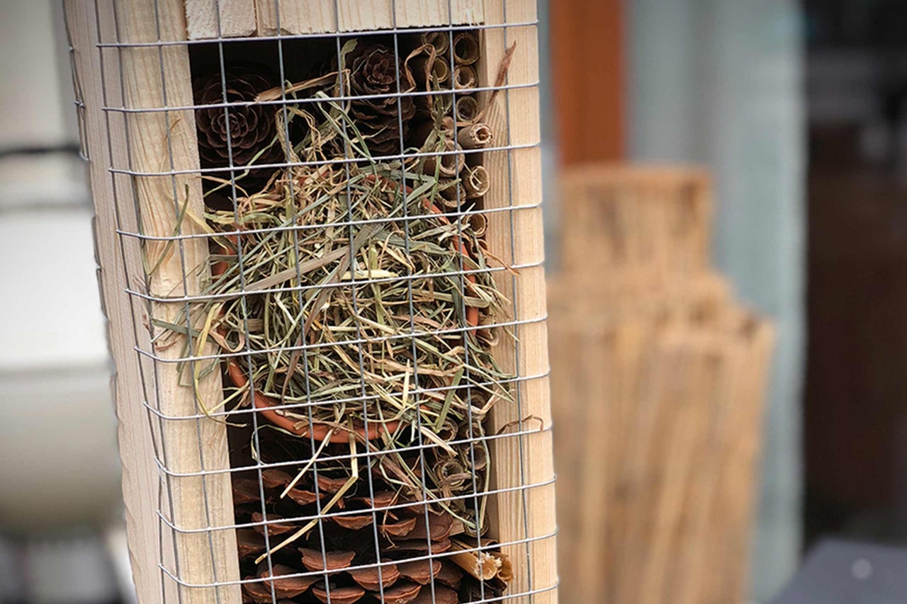 Insekthotell fyllt med kottar, strån och bambupinnar