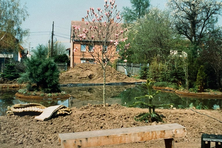 Landskap med damm, brygga och diverse växter