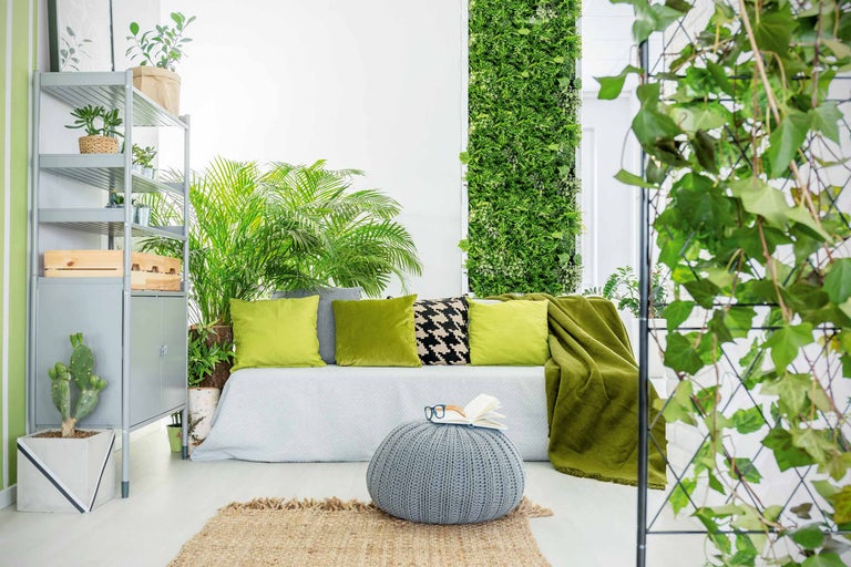 Vardagsrum med hylla, soffa, växter, vertikal trädgård och dekoration