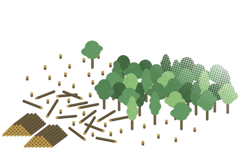 Illustration av staplar av trä, trädstammar och träd