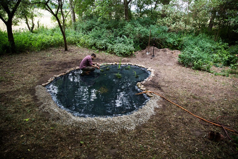 Trädgårdsdammbyggande med dammfolie, stenar och plantering i trädgården