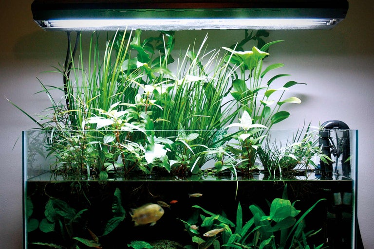 Akvarieteknik – så fungerar det