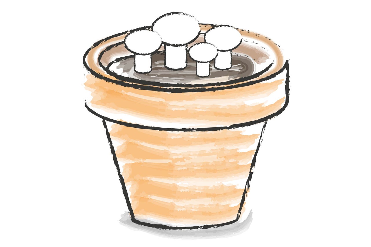 Illustration av en planteringskruka med plantor