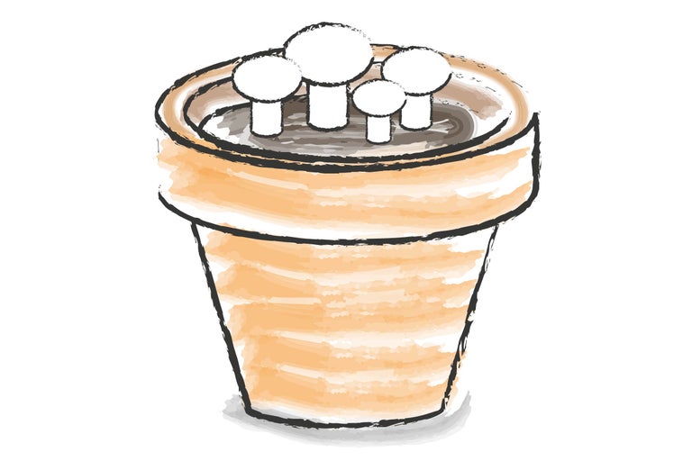 Illustration av en planteringskruka med plantor
