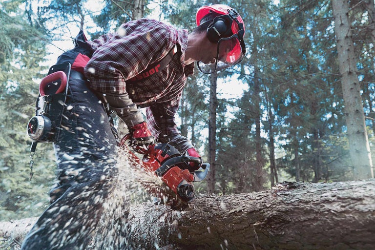 Man med skyddshjälm och hörselskydd sågar trädstam med motorsåg i skogen
