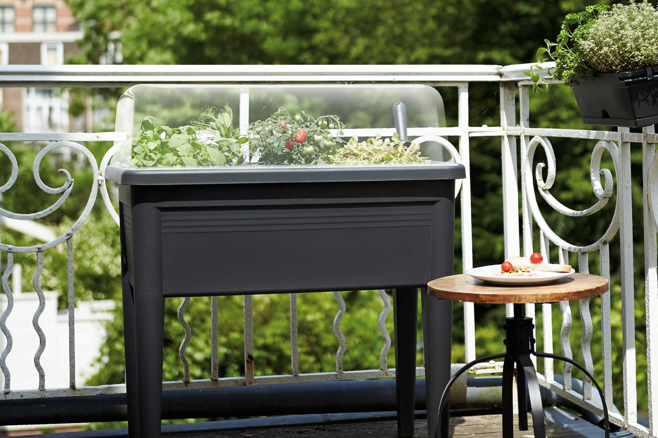 Pallkrage med tomatplantor och diverse örter på en balkong.