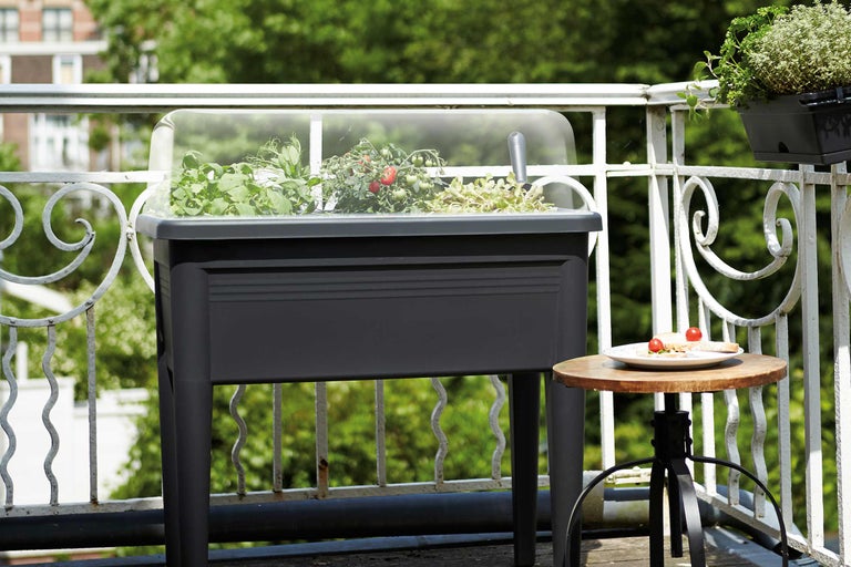 Pallkrage med tomatplantor och diverse örter på en balkong.