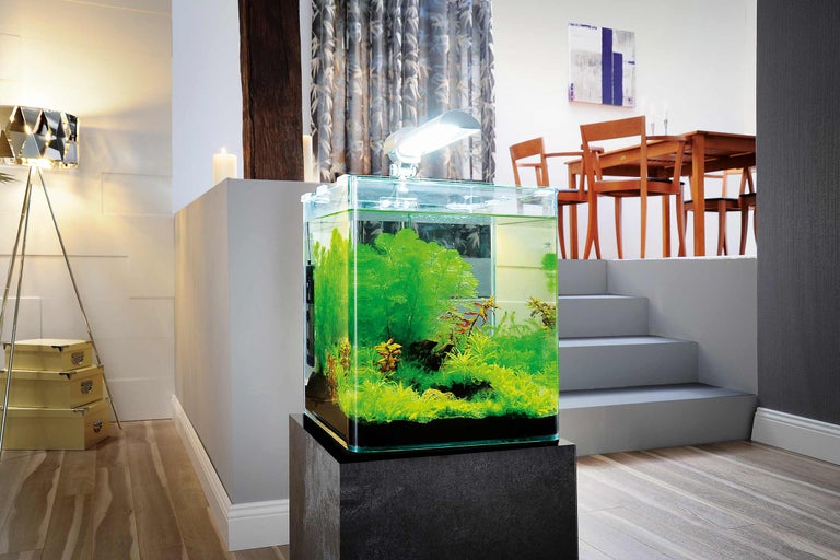 Dekorativt akvarium med växter på en piedestal i ett vardagsrum.