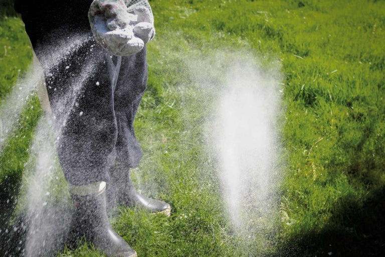 Så kalkar du gräsmattan