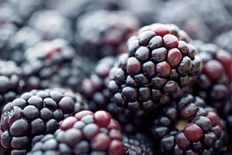 Närbild av björnbär