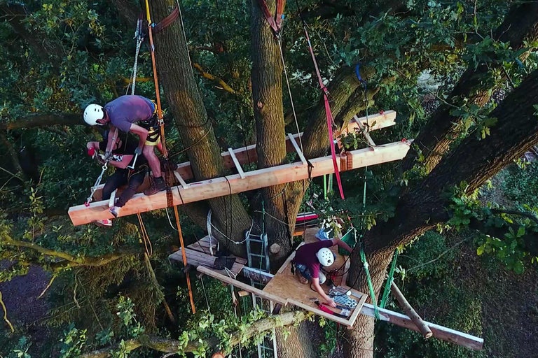 Trädkoje bygge med hantverkare i trädkronan