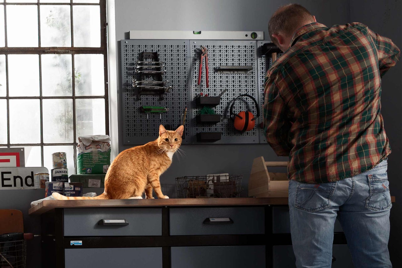 Verkstad med verktygstavla, arbetsbänk, röd katt och man