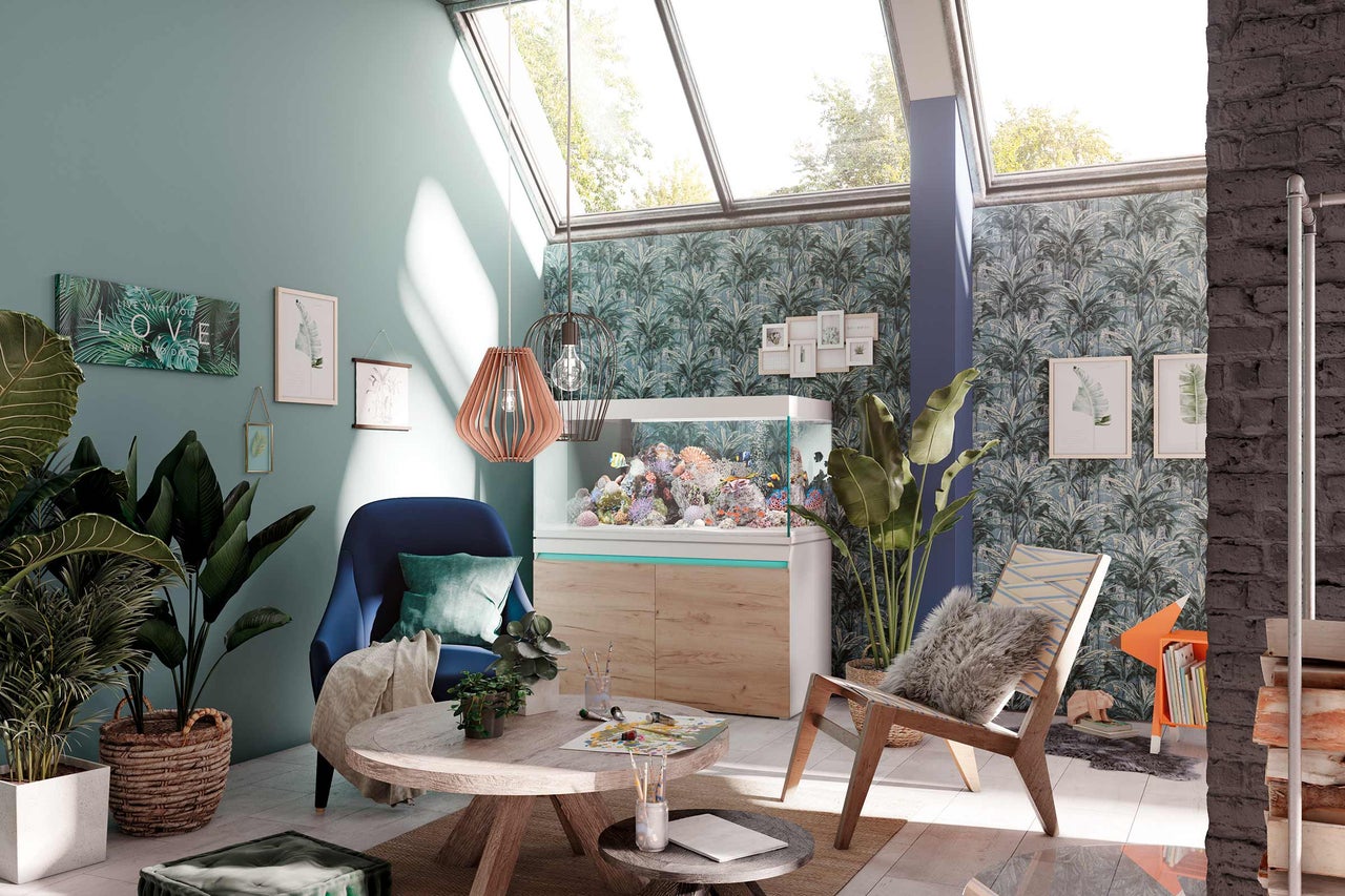 Vardagsrum med akvarium, fåtölj, bord och krukväxter under ett stort takfönster