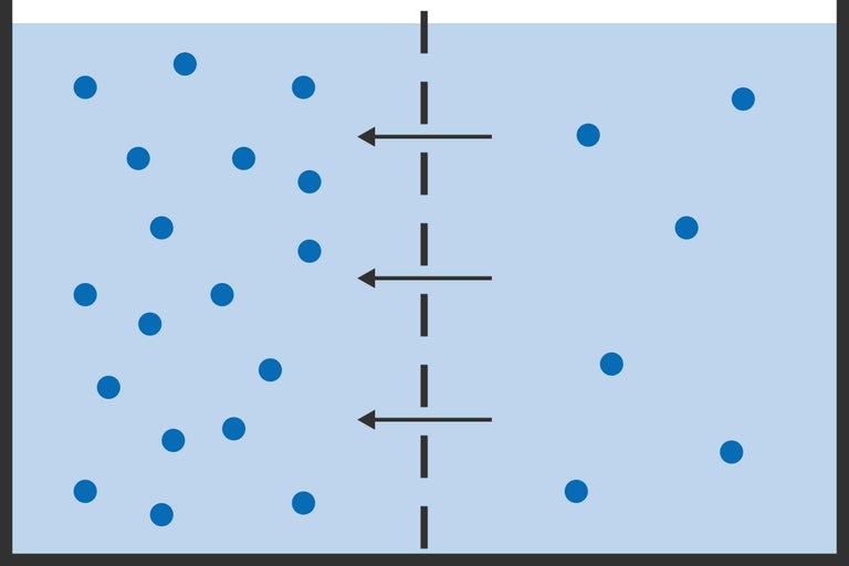 Illustration av osmos genom ett semipermeabelt membran