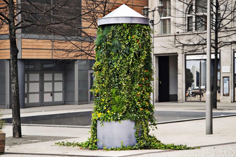 Betongpelare med växter i stadsmiljö
