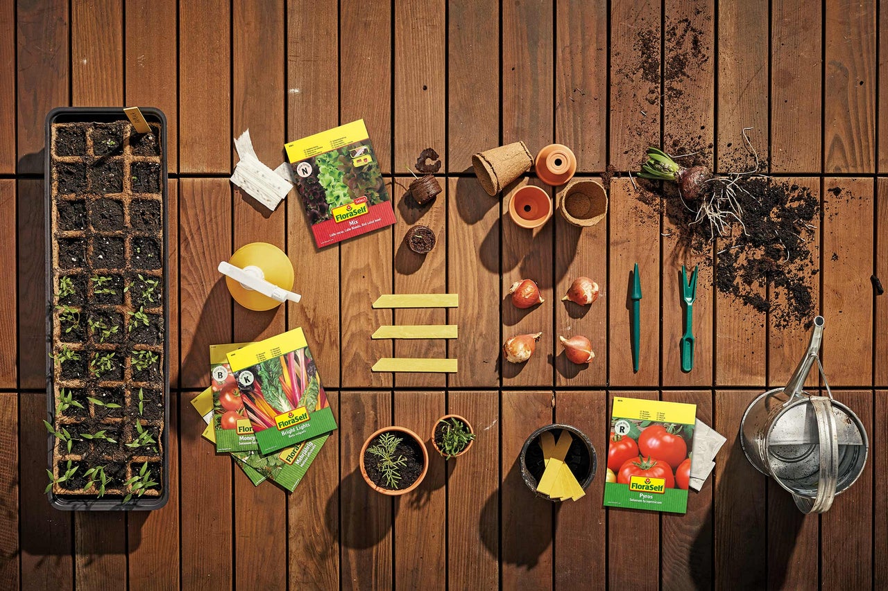 Trädgårdsscen med odlingslåda, fröpåsar från FloraSelf, blomkrukor och trädgårdsredskap på trägolv.