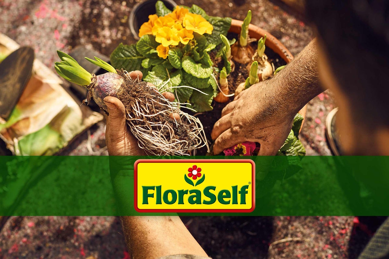 Trädgårdsmästare planterar blomsterlökar i en kruka, FloraSelf logotyp