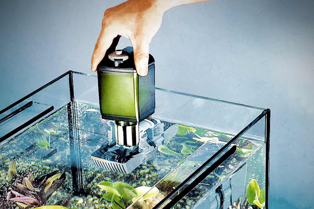 Akvarium med internt filter och hand
