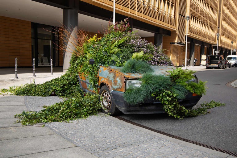 En rostig bil är täckt med växter och blommor.