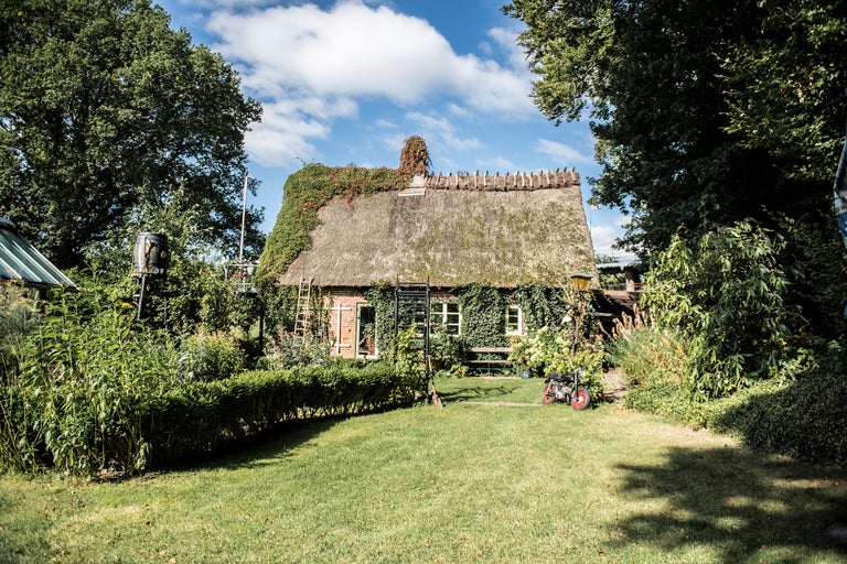 Hus med halmtak och trädgård