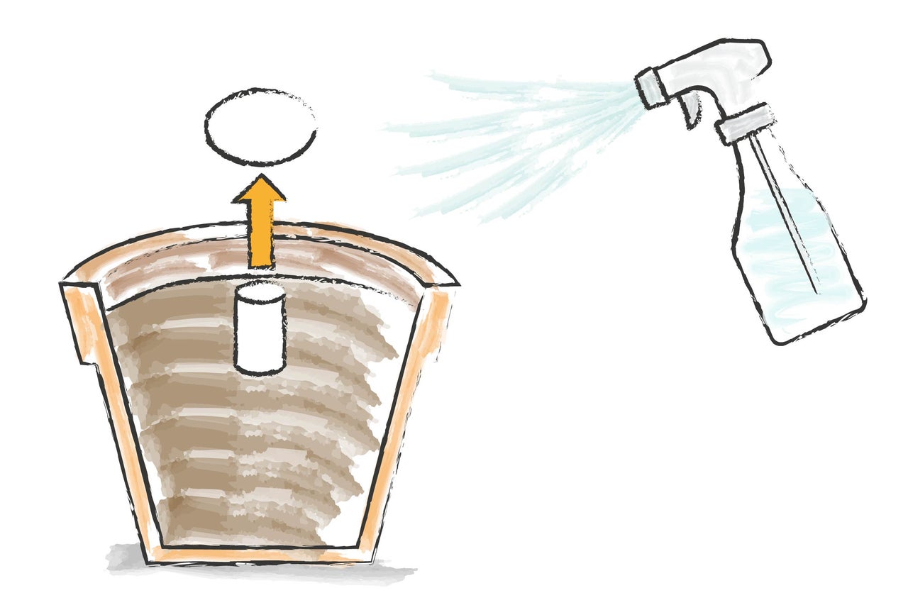 Illustration av en såningsanvisning med sprayflaska och odlingskruka