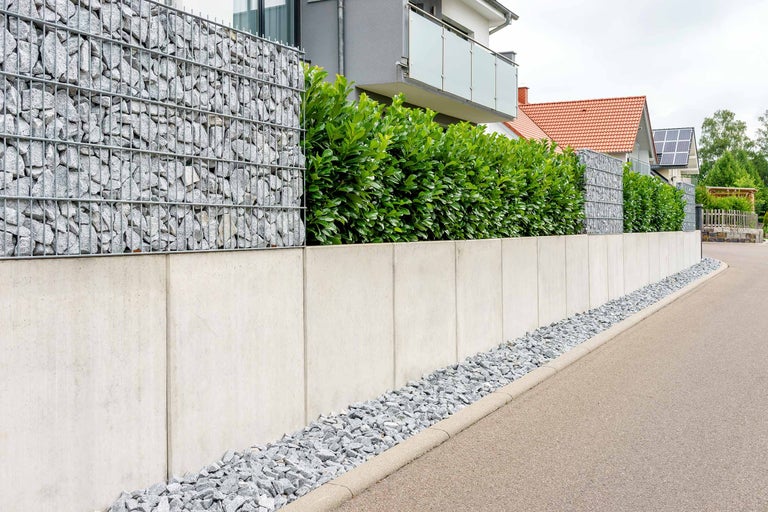 Gabionmur kombinerad med betongelement och gröna växter som insynsskydd i trädgården