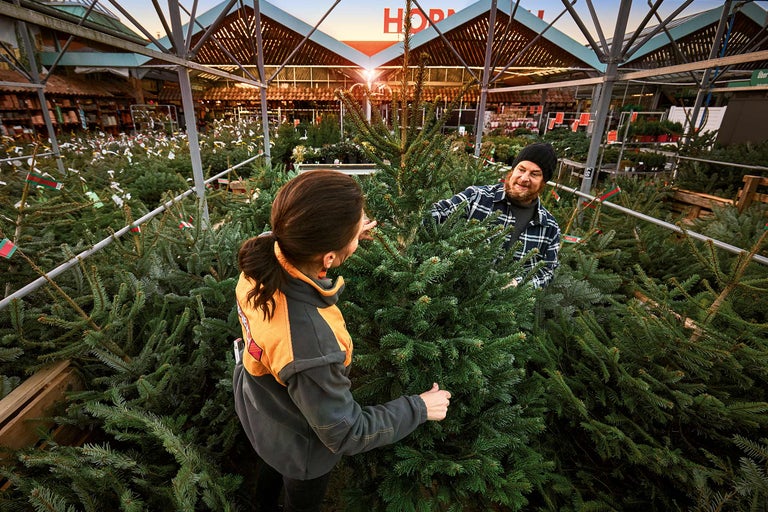 Kunder väljer en julgran i Hornbach-butiken.
