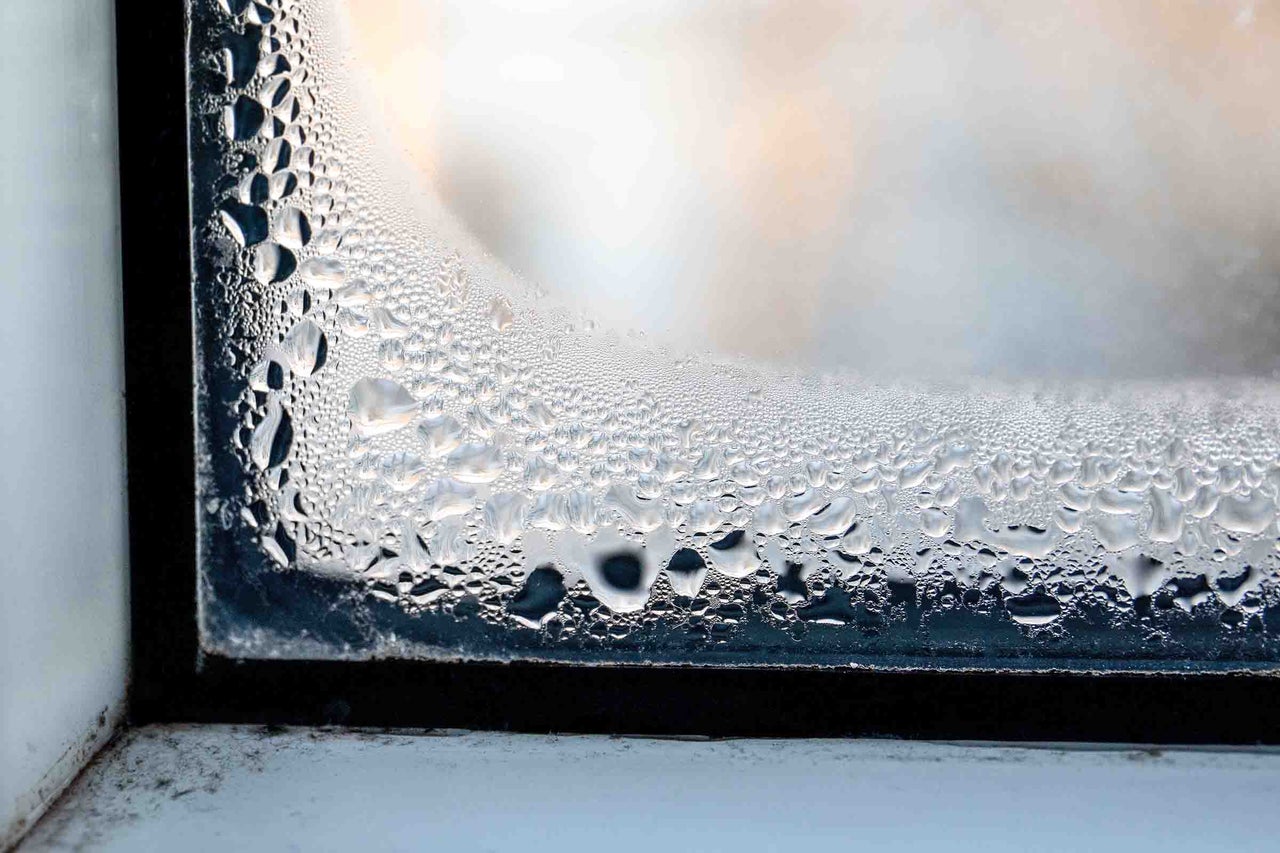 Fönster med kondens