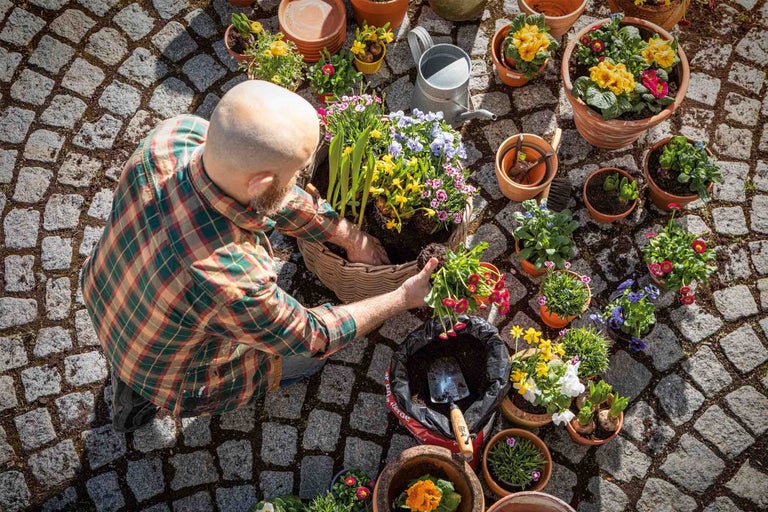 En man planterar vårblommor i en flätad korg på en stenlagd yta, omgiven av blomkrukor och trädgårdsredskap.
