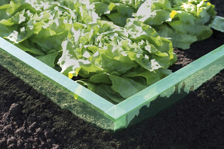 Högbädd med salladsplantor i trädgården