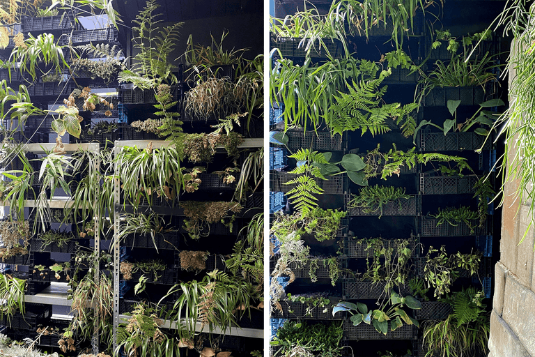 Vertikal trädgård med olika växter i behållare.