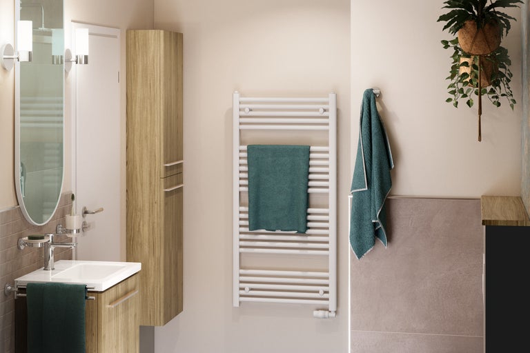 Badrumsvy med handfat, spegelskåp, handdukstork och hängande växt