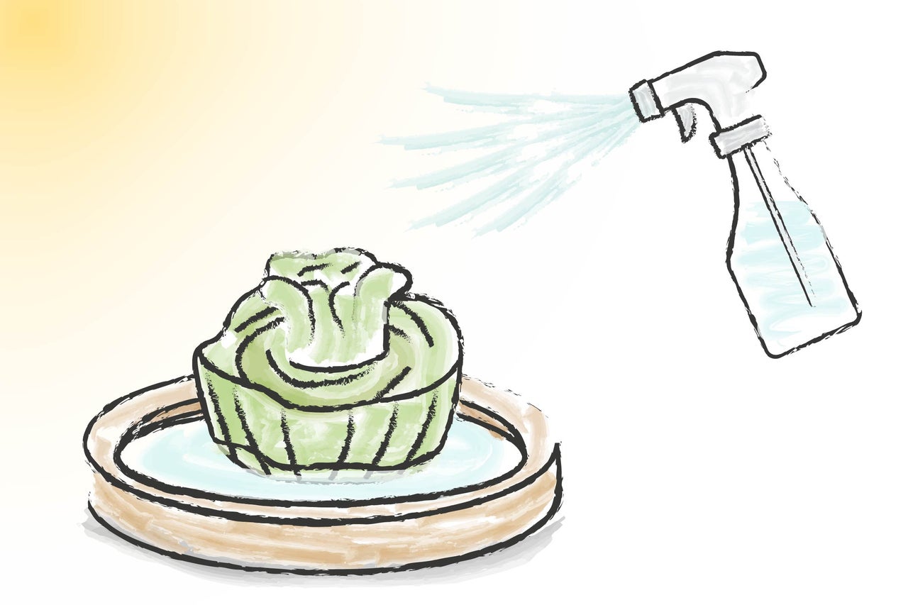 Ritad illustration av en växt i en skål som vattnas med en sprayflaska.
