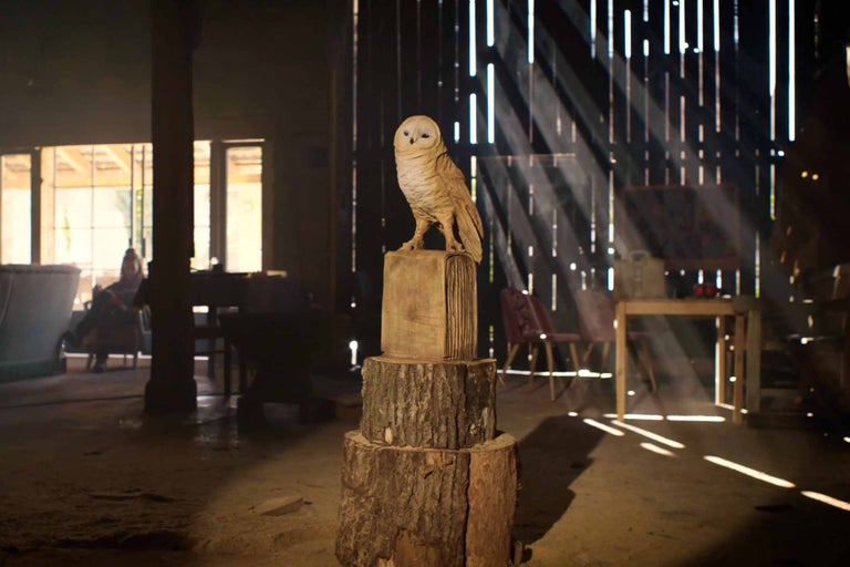 Dekorativ träuggla på trädstubbar i verkstad
