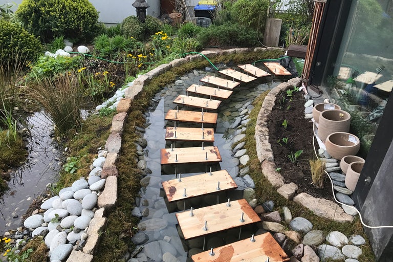 Trädgårdsscen med damm, trägång och plantering