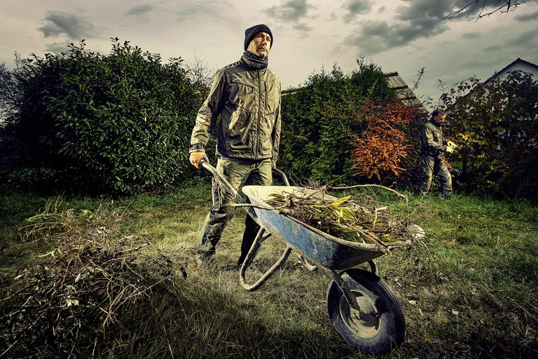 Man skjuter skottkärra med trädgårdsavfall i trädgården.