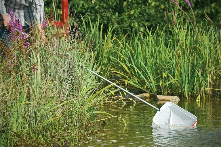 Person med en dammhåv i vattnet för att ta bort smuts och växtrester.