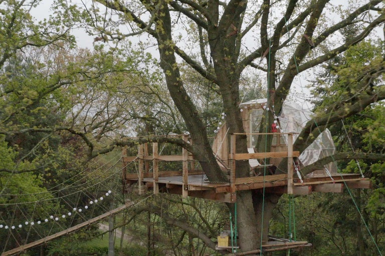 Trädkoja med hängbro i trädgården