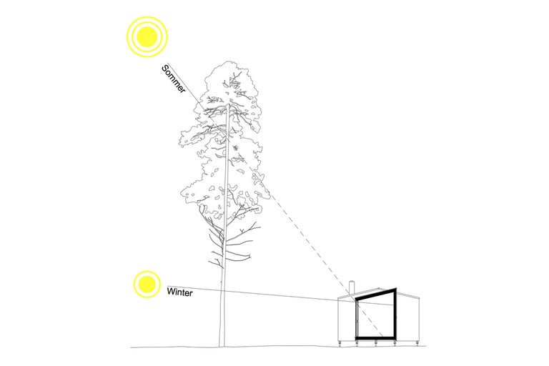 Illustration av solens säsongsbundna läge i förhållande till ett träd och en byggnad