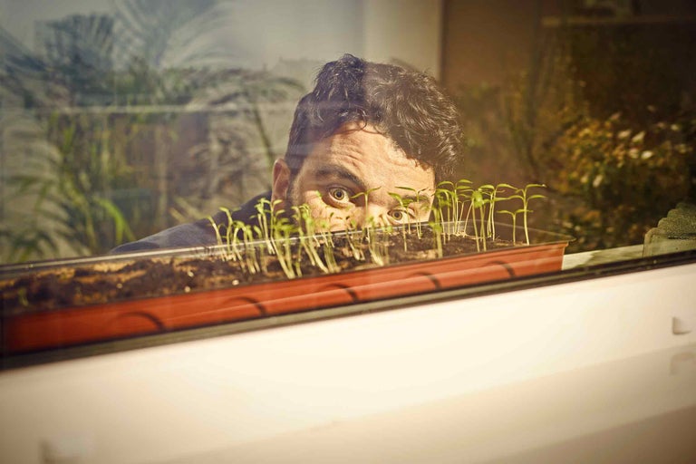 Trädgårdskalender: Februari