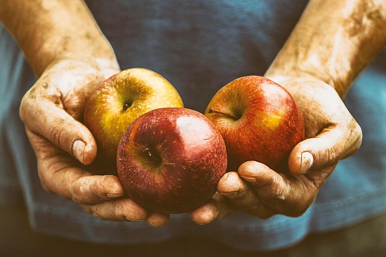 Händer håller tre äpplen