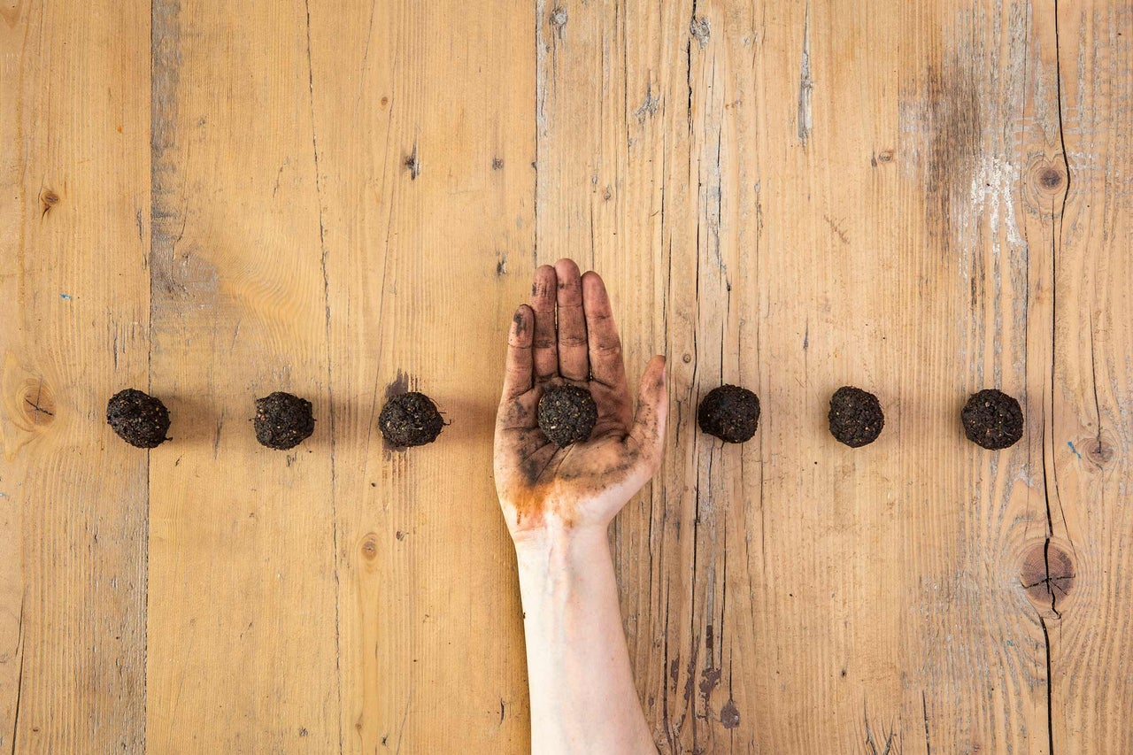 En hand håller en fröbomb, omgiven av andra fröbollar på ett träbord.