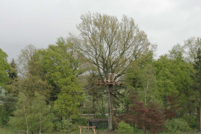 Trähus bland gröna träd i naturlig miljö