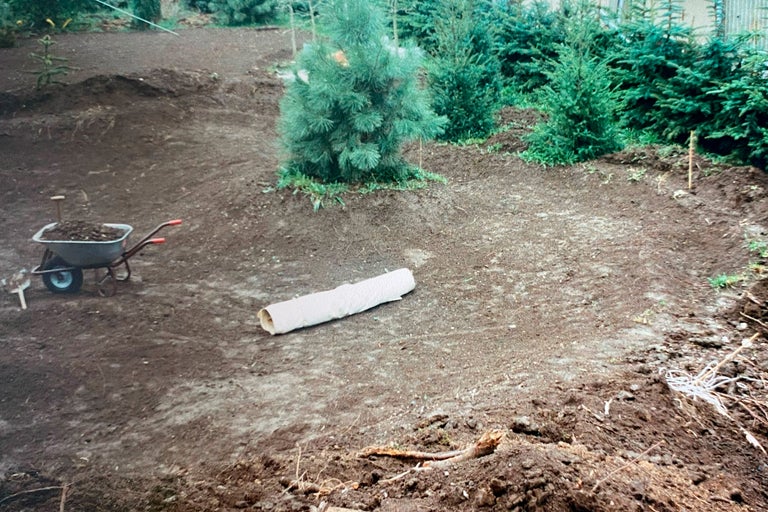 Trädgårdsscen med markarbeten, skottkärra och unga barrträd