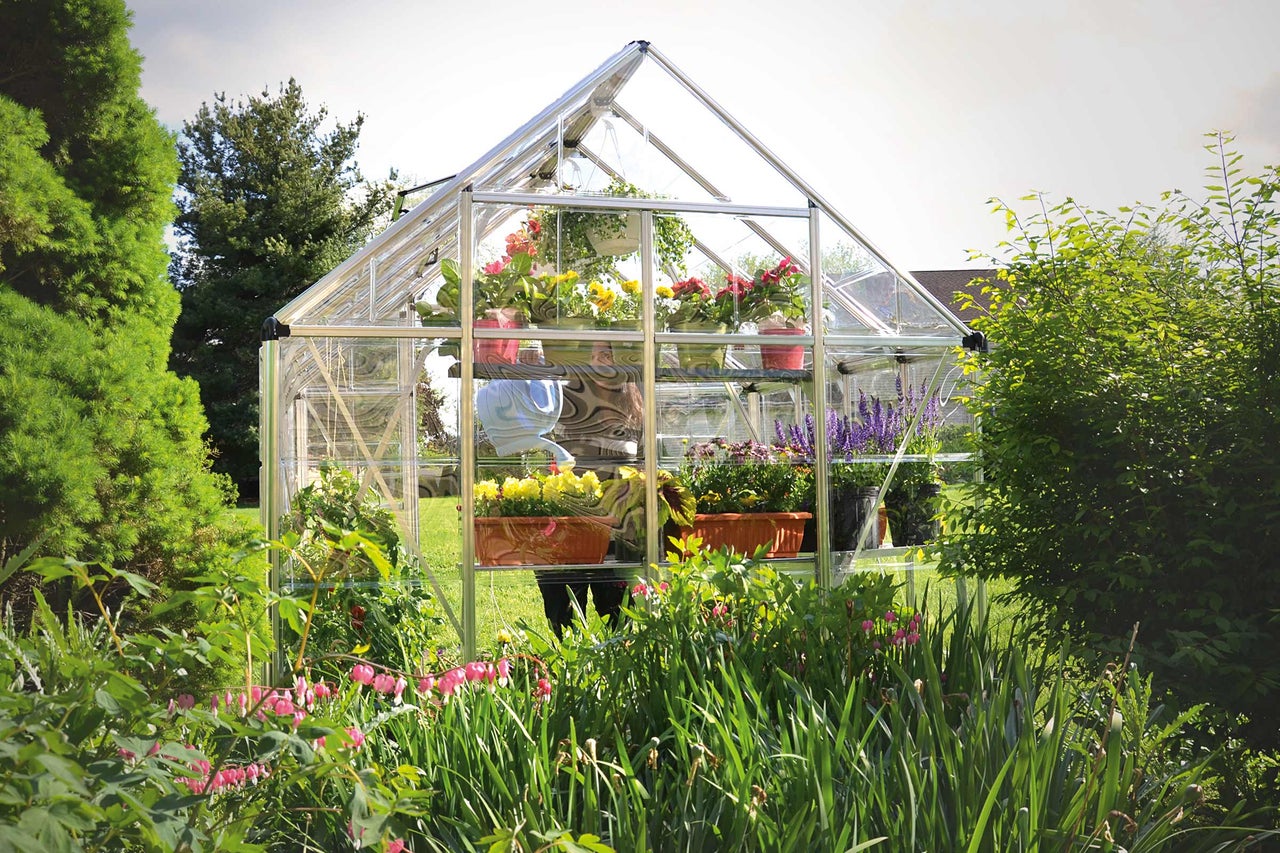 Växthus med växter i trädgården.